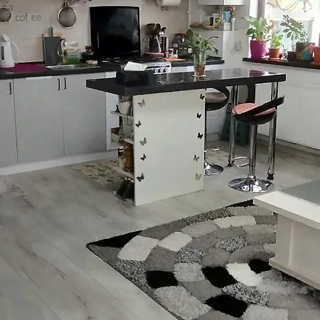 Aproape De Mare شقة *